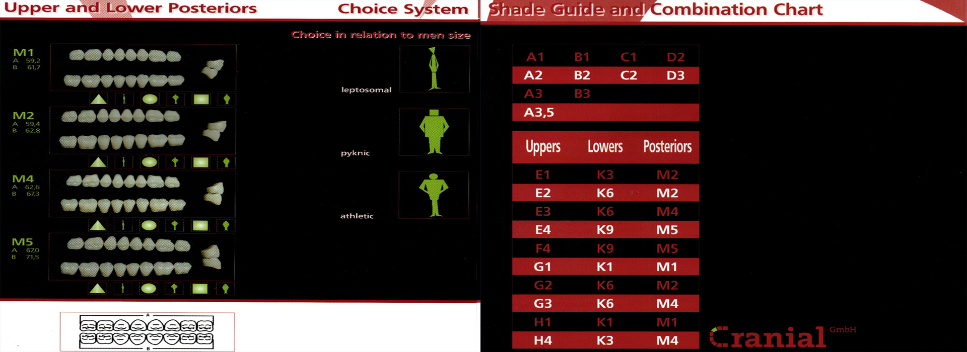 Craniform 3-4