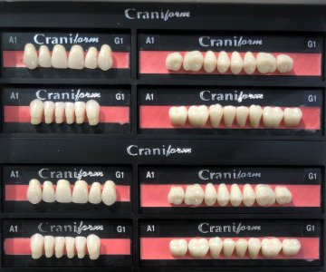 Craniform Acryl-